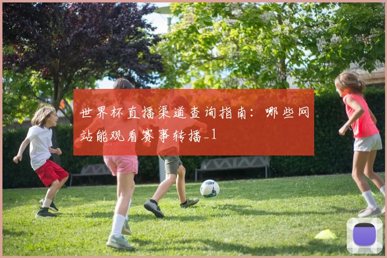 世界杯直播渠道查询指南:哪些网站能观看赛事转播_1