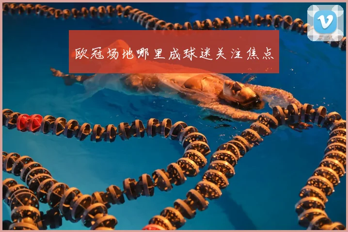 欧冠场地哪里成球迷关注焦点