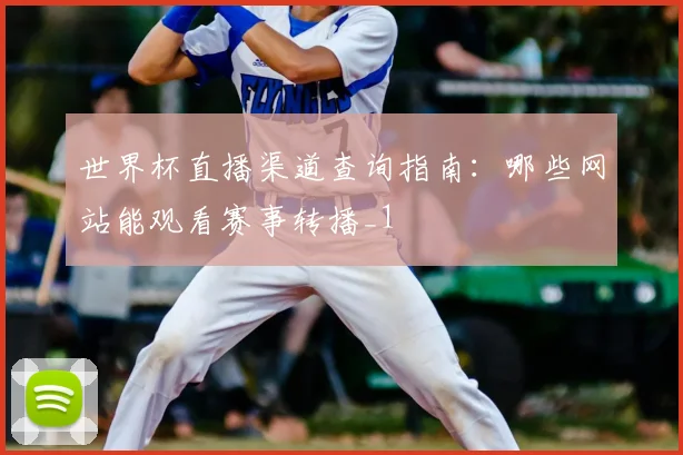 世界杯直播渠道查询指南:哪些网站能观看赛事转播_1
