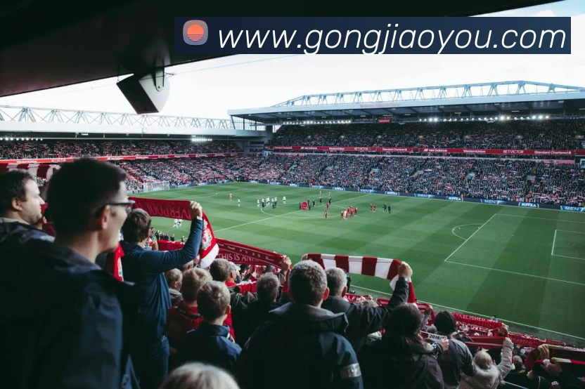 云开体育app官网入口登录网页版发展历程